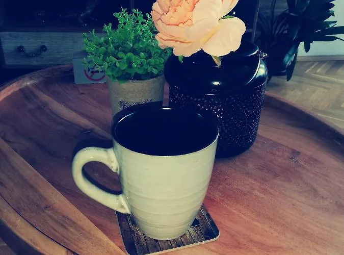 за гости во1 Appartement