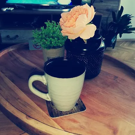 за гости во1 דירה